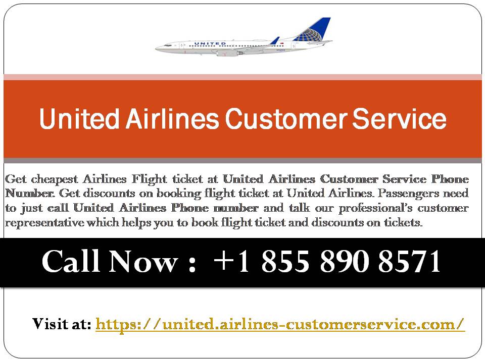 All Categories - Airlines Reservation Phone Number USA