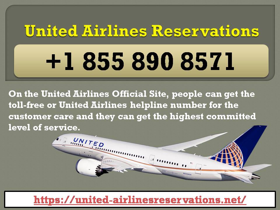 United Airlines Reservations Phone Number Orig 